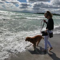 Amelia Campbell (@ameliacampbell) 's Twitter Profile Photo Amelia Campbell (@ameliacampbell) 's Twitter Profile Photo