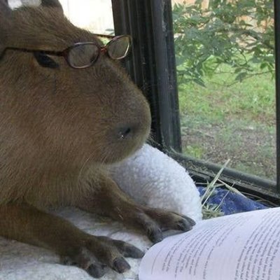 usando o espaço apenas para divulgar minha newsletter, pois não sou boa com twitter e ele só me cansa ainda mais