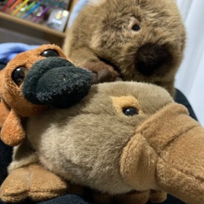 かものはし（ログアウト中）さんのプロフィール画像