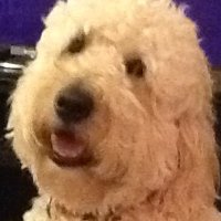 Barry Doohan 9 (@bedoohan) 's Twitter Profile