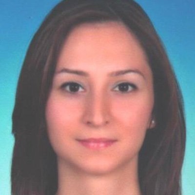 🇦🇲 based in 🇱🇺 US / Luxembourg based reporter on economic / geopolitical developments in Turkey and Middle East.