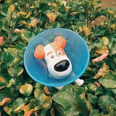 cenuniverse_'s profile picture. Hi! Cen