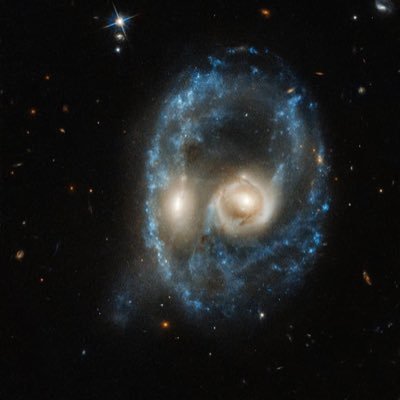 CQ31803261's profile picture. 