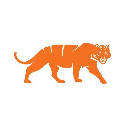 Firetiger Technologies is an advisory firm that specializes in helping companies grow by providing management consulting and economic development services.