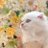 うちのこ。のアイコン