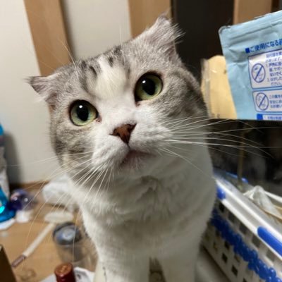 luvVmZObioLKWKJ's profile picture. 