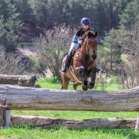 Robl Racing (@roblracing) 's Twitter Profile