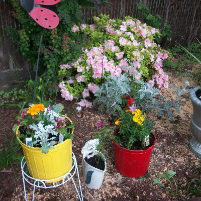 GroundNatural1's profile picture. Natural Ground 1 (NG1) believes the Essence of an individual is connected to the “Natural Consciousness: of change balance and flow