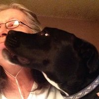 Penelope (@dragongates) 's Twitter Profile