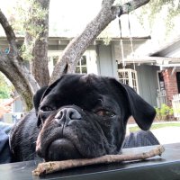 James Dunn (@10jamesdunn) 's Twitter Profile Photo