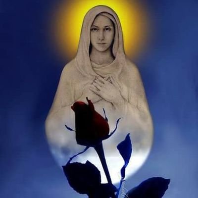 QgInzFIsp3VTofT's profile picture. 