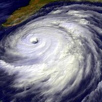 Francesca Rheannon (@climate_chaos) 's Twitter Profile