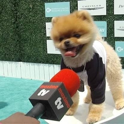 Dave07873's profile picture. My Bio