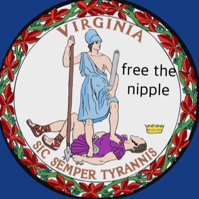 virgin_gov's profile picture. Virginia Commonwealth official government page.