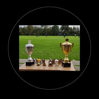 BOSS_PL_CRICKET's profile picture. 