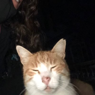 nehiiiroz's profile picture. 