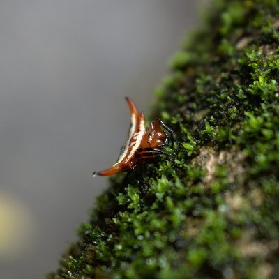 MatthewAxe1's profile picture. I'm Matthew, I am from the UK, but I live in Vietnam. I like taking photos as well as painting and playing guitar.

IG:@matthew.axe