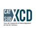 Xarxa de Cooperació al Desenvolupament CatSud (@xcdcatalunyasud) Twitter profile photo Xarxa de Cooperació al Desenvolupament CatSud (@xcdcatalunyasud) Twitter profile photo