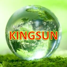 Kingsun_Ele's profile picture. 