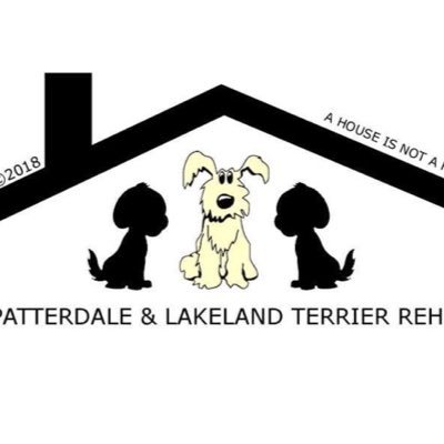 Patterdale & Lakeland terrier rehome is a not for profit organisation who solely rely on donations. We have rehomed over 80 dogs so far since forming in 2018