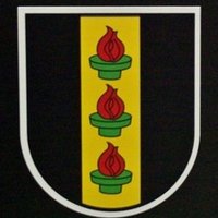 Parlament Wetzikon (@ggrwetzikon) 's Twitter Profile