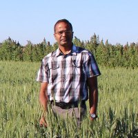 Sam Periyannan (@periyannansam) 's Twitter Profile