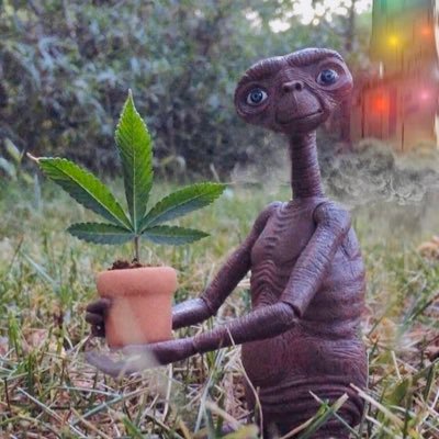 chill_cm_j's profile picture. 