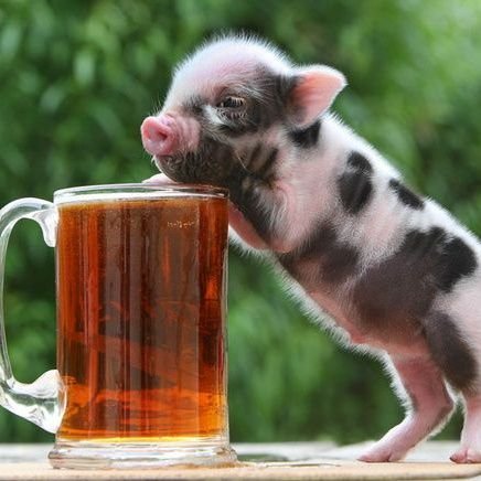 brd_angele's profile picture. 