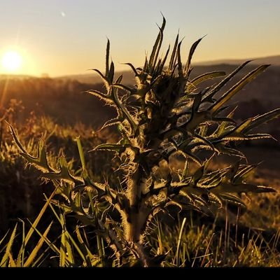 RobertMyszkows1's profile picture. 