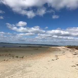 CapitaltoCoast's profile picture. We are the first bespoke service helping people relocate from the city to the coast giving our clients freedom to breathe |
We have the inside track