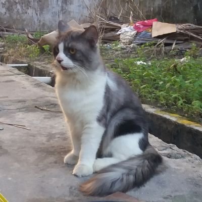 febyanasofyanti's profile picture. 