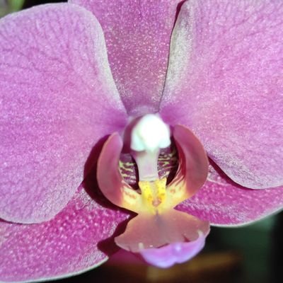 helpimtoolazy's profile picture. fuck fuck fuuuck