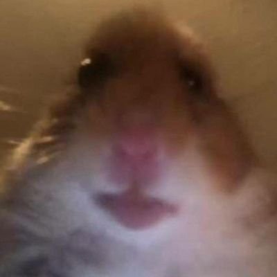 Gonzalogtff's profile picture. Gonzalo😜