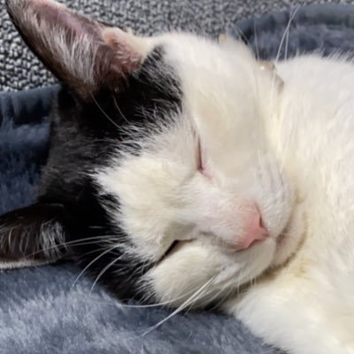 Gloaming0206way's profile picture. 同居人はダンナ1人、メダカ❓匹、好きなアーティスト、福山雅治。BROS.会員。高2男子、高1女子、小1男子、小2男子、4歳女子の孫っちがいます。フォローの際は一言お願いします♪無言フォローの場合はブロックしますのであしからず