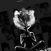 ATL_TSLover321 (@tslover321atl) Twitter profile photo ATL_TSLover321 (@tslover321atl) Twitter profile photo
