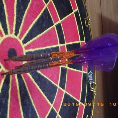 ダーツ好きのオッサン&２頭のトイプードル
#darts

＃トイプードル
２０１１年１月に脳出血　その後遺症で左半身不随に　まあダーツをしたいがためリハビリ頑張って歩くことはできるようになり今に至る
＃半身不随
フォロー・フォローバックは無言オッケーですよ
エロついてるけどエロ垢ではないのでキモいフォローはいらない