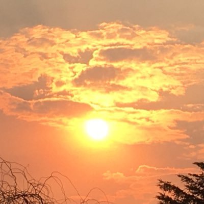 barbihue's profile picture. 