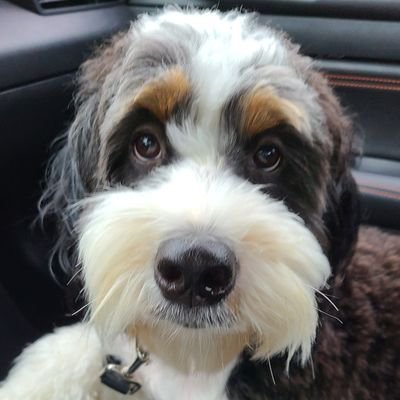 PeteGori30's profile picture. 