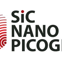 SiC nano for PicoGeo(@Picogeo_eu) 's Twitter Profile Photo