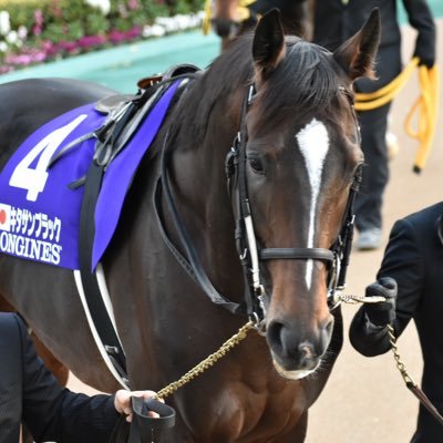 keiba_sports's profile picture. 競馬をギャンブルという視点ではなく一つのドラマのあるスポーツとして観ていく為に、初心者でも分かりやすく、動画を投稿していきます。 YouTube動画たまに更新https://t.co/J0O5QdhHEN