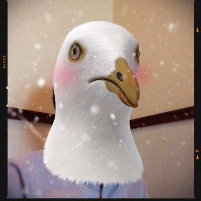 34Zhf0CrPqh0nUG Profile Picture