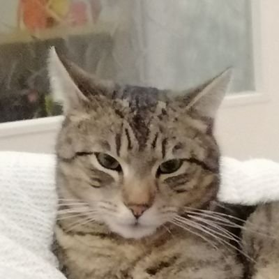 Kire42901111's profile picture. 