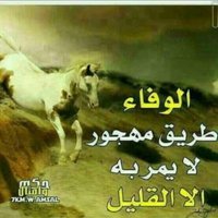 جنوبي الهوى (@5c9xawwzyslcplz) 's Twitter Profile