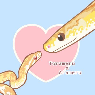 Dro(ドロ)さんのプロフィール画像