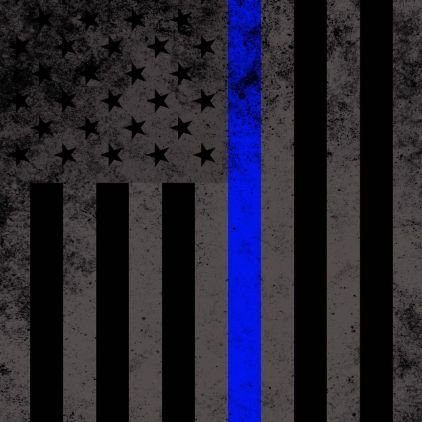 EvanNew75608118's profile picture. 