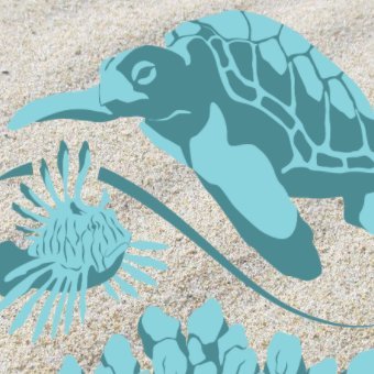 501(c)(3) nonprofit with a mission to protect coastal habitats for sea turtle survival by educating and connecting people to the environment