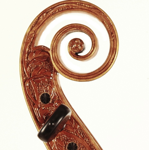 lumistrings's profile picture. Fine Baroque and Modern String Instruments Handmade in Beijing