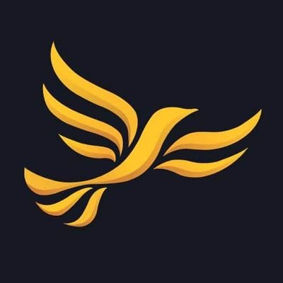 (lib dems) Liberal Democrats Organization for Defending rights and promoting justice and equality.
