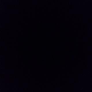 walterwack's profile picture. 