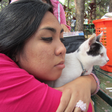 meow! animal lover. future veterinarian. my shout: NO to animal violence!
